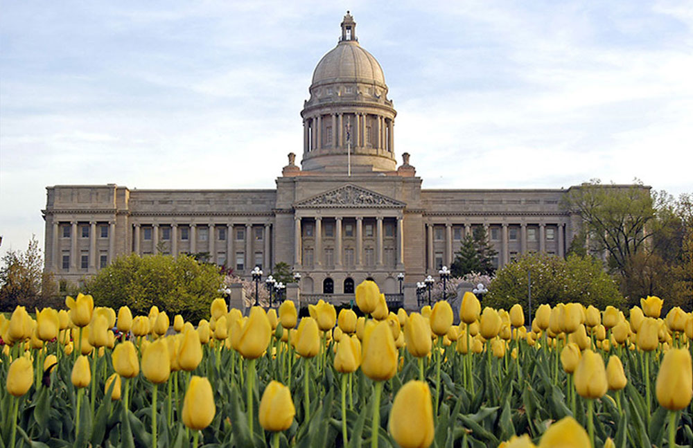 Kentucky State Capitol building in Frankfort with yellow tulips in bloom